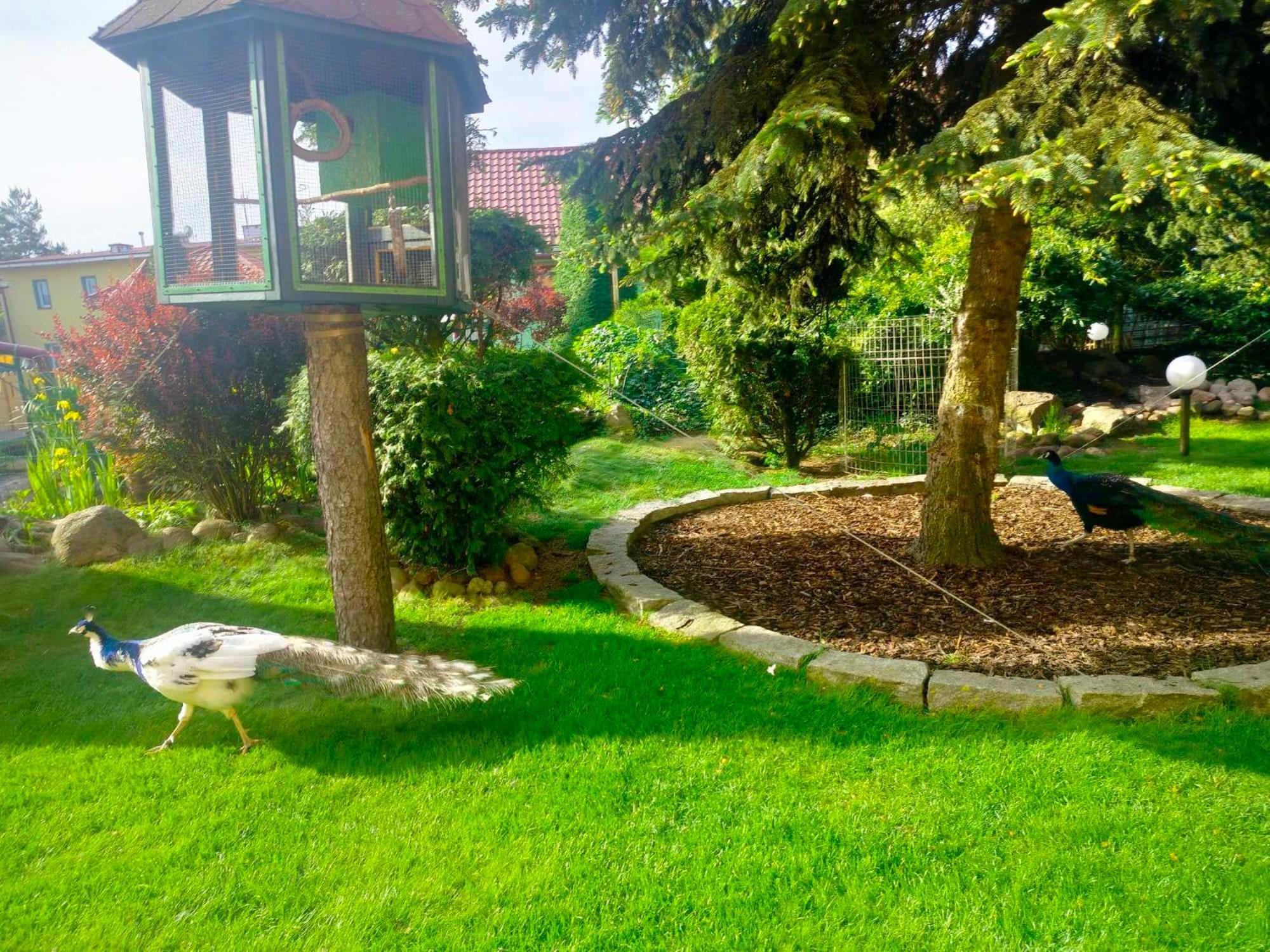 Noclegi I Restauracja Gracja Bełchatów Exteriér fotografie